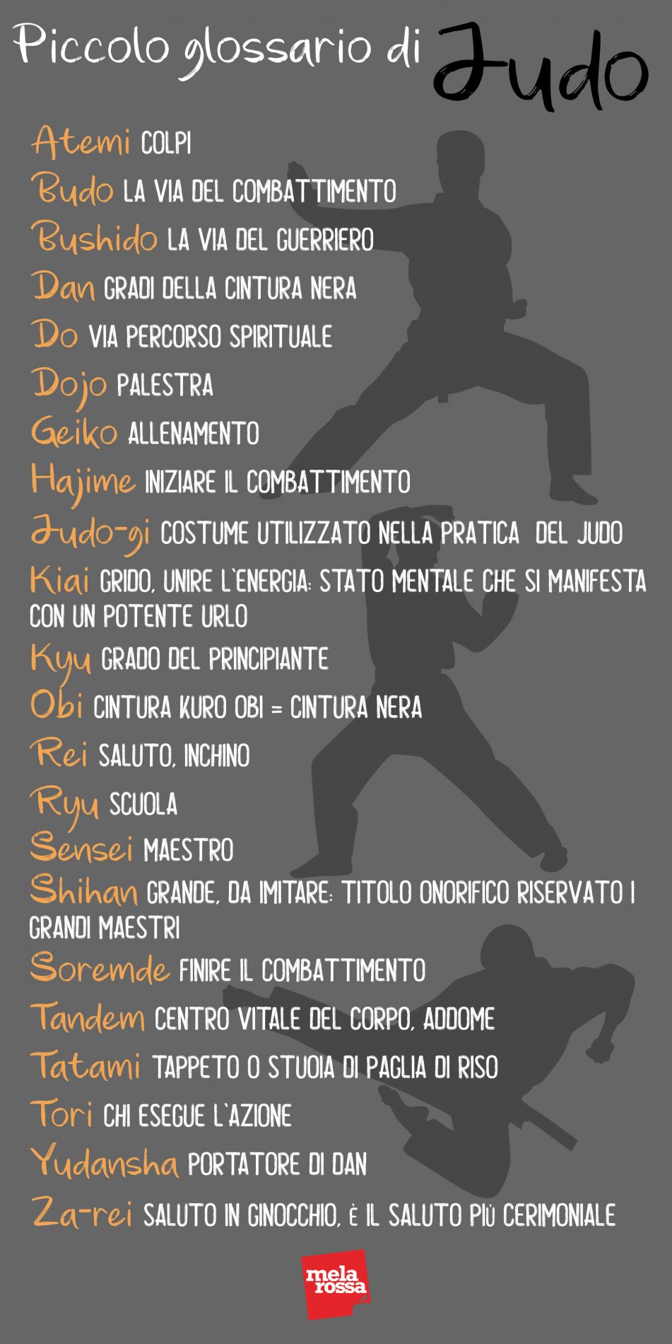 Judo: storia, filosofia e codice morale, tecniche e allenamento, benefici e controindicazioni 11 Glossario di judo: i principali termini