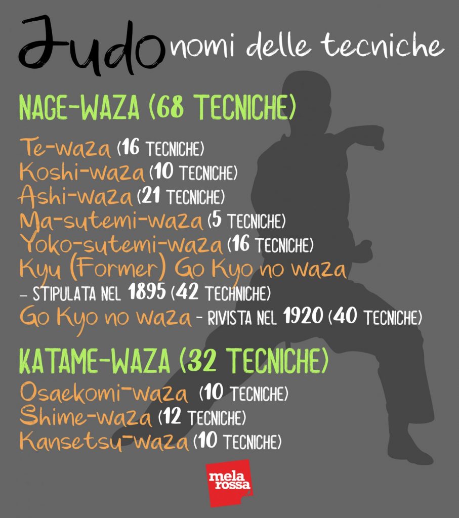 Judo: storia, filosofia e codice morale, tecniche e allenamento, benefici e controindicazioni 12 Judo nomi delle tecniche