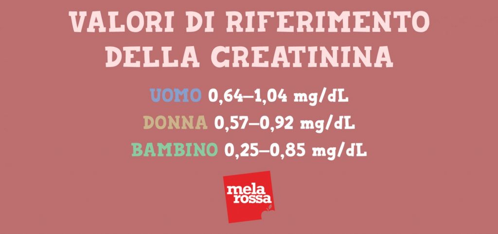 Analisi del sangue: quando farle, a cosa servono e valori di riferimento 3 analisi del sangue:valori di riferimento per la creatinina