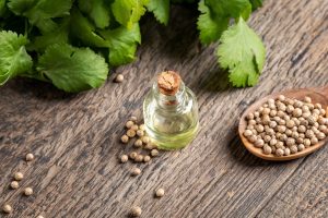 Coriandolo: propriet&agrave;, pianta, semi e ricette