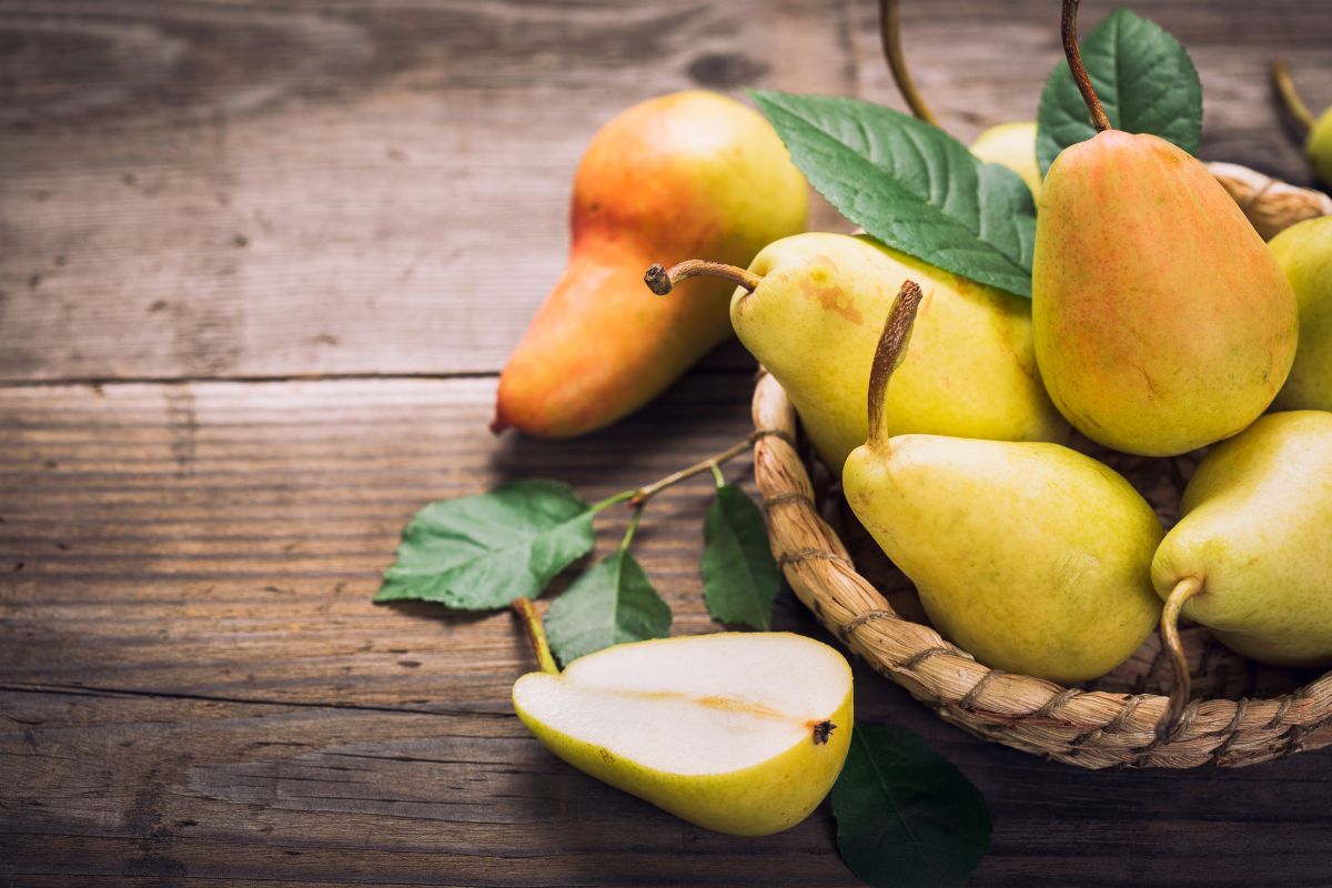 Pera: calorie, valori nutrizionali, benefici e usi in cucina 3 Cos'è la pera