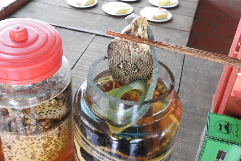 Viaggio in Vietnam: il Sud e il Centro tra templi, mare, frutta esotica e grattacieli 18 delta del mekong ben tre acquavite con serpenti