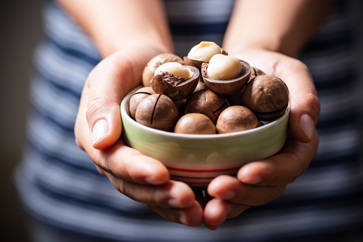 Noci di macadamia: cosa sono, benefici, valori nutrizionali, controindicazioni e usi in cucina 7 noci di macadamia: come sceglierli