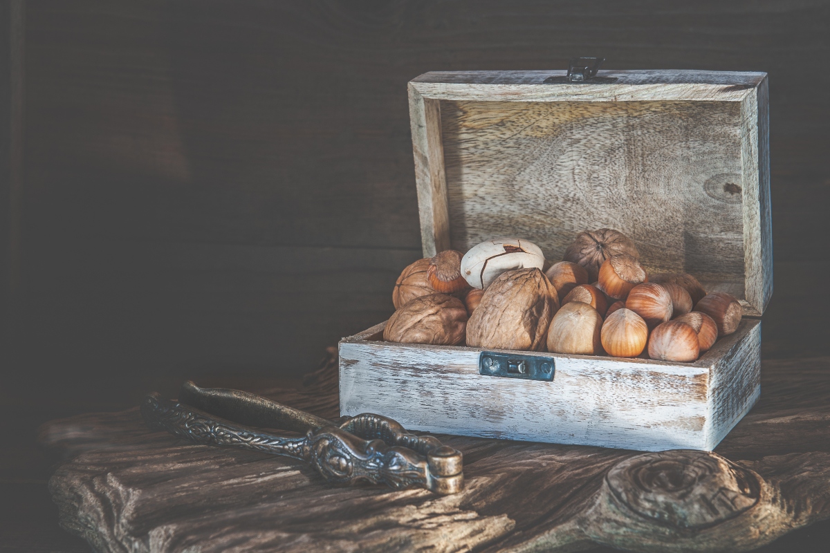 Noci di macadamia: cosa sono, benefici, valori nutrizionali, controindicazioni e usi in cucina 6 noci di macadamia: varietà