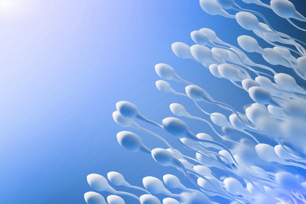 Mangiare bene fin da giovani protegge la fertilità maschile 1 Frutta, verdura, pesce e cereali integrali per migliorare la fertilità maschile