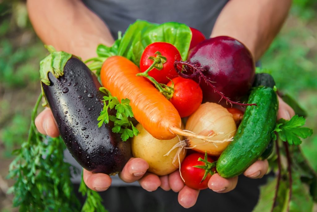 Olio extravergine: il 64% degli italiani non vi rinuncerebbe mai 1 Oltre all'olio per gli italiani le verdure di stagione sono irrinunciabili