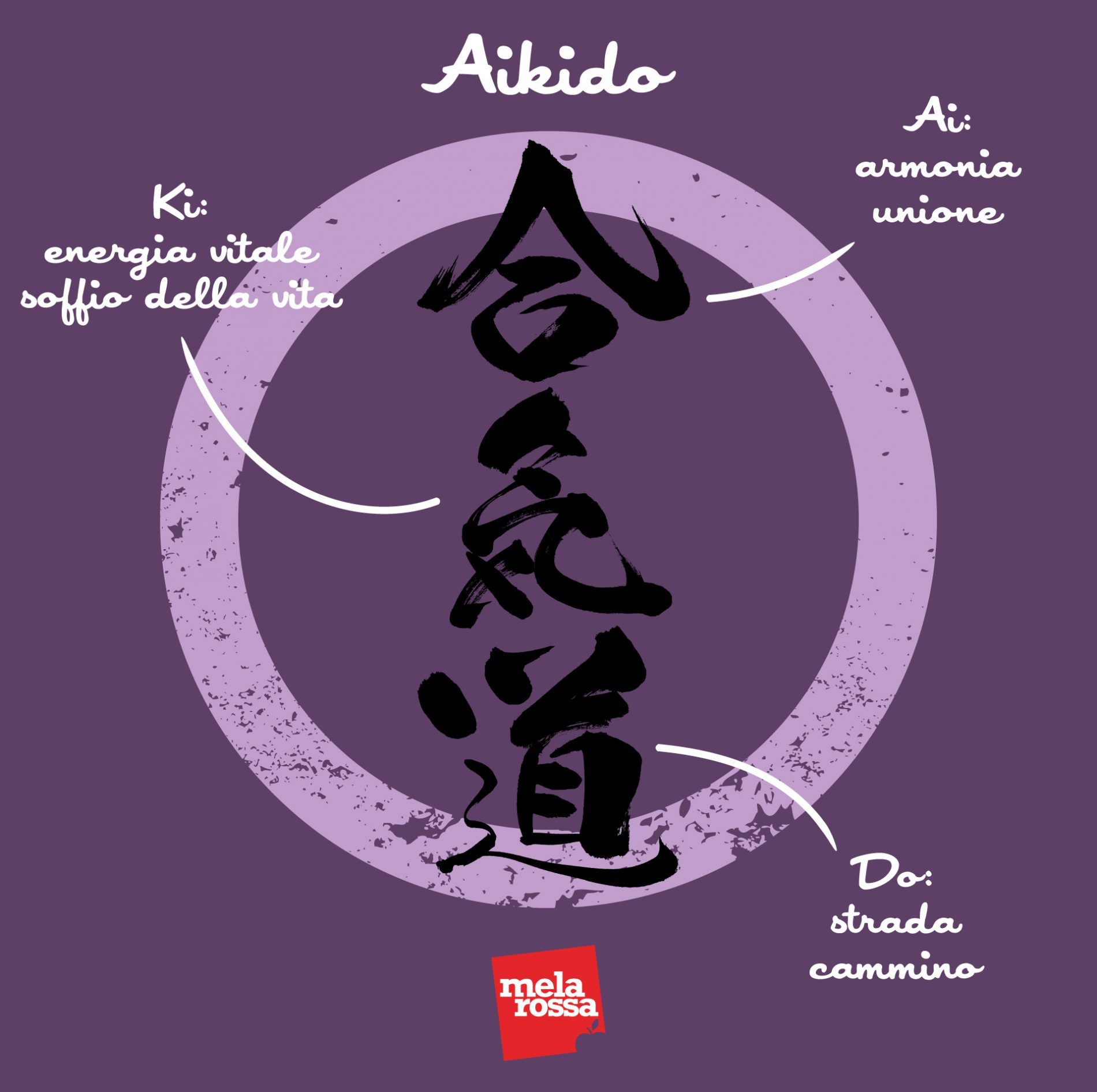 Aikido: cos’è, filosofia, allenamento, abbigliamento, benefici e controindicazioni 1 aikido: significato