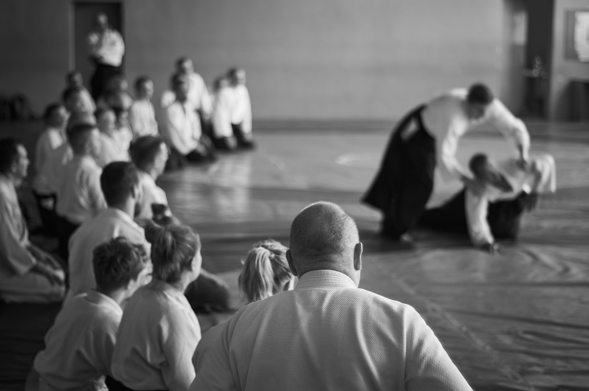 Aikido: cos’è, filosofia, allenamento, abbigliamento, benefici e controindicazioni 14 aikido: allievi e tecnica