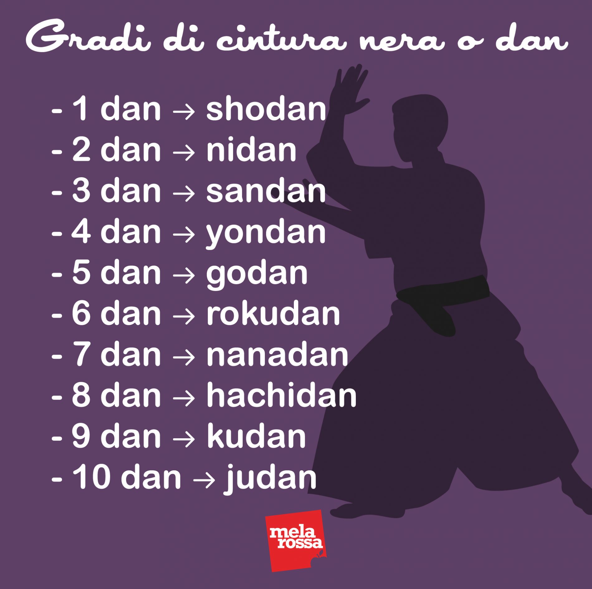 Aikido: cos’è, filosofia, allenamento, abbigliamento, benefici e controindicazioni 15 aikido: gradi di cintura nera