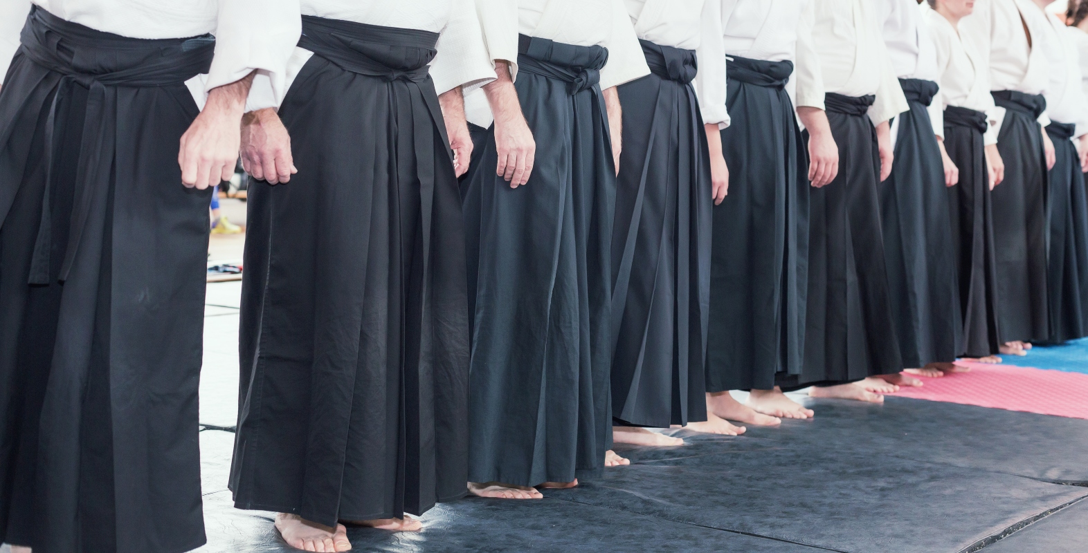 Aikido: cos’è, filosofia, allenamento, abbigliamento, benefici e controindicazioni 13 aikido: come eseguire il saluto