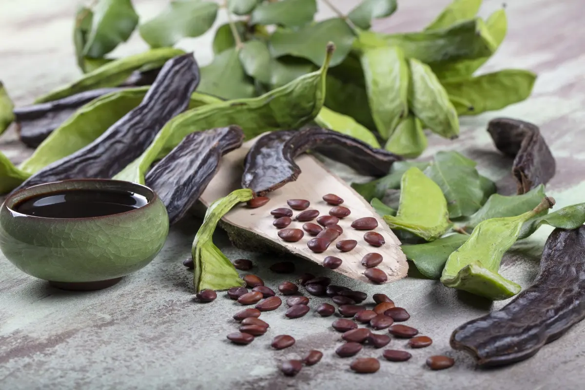 Carruba, sostituto del cioccolato che fa bene alla linea: proprietà, benefici, usi in cucina 5 carruba, come si consuma