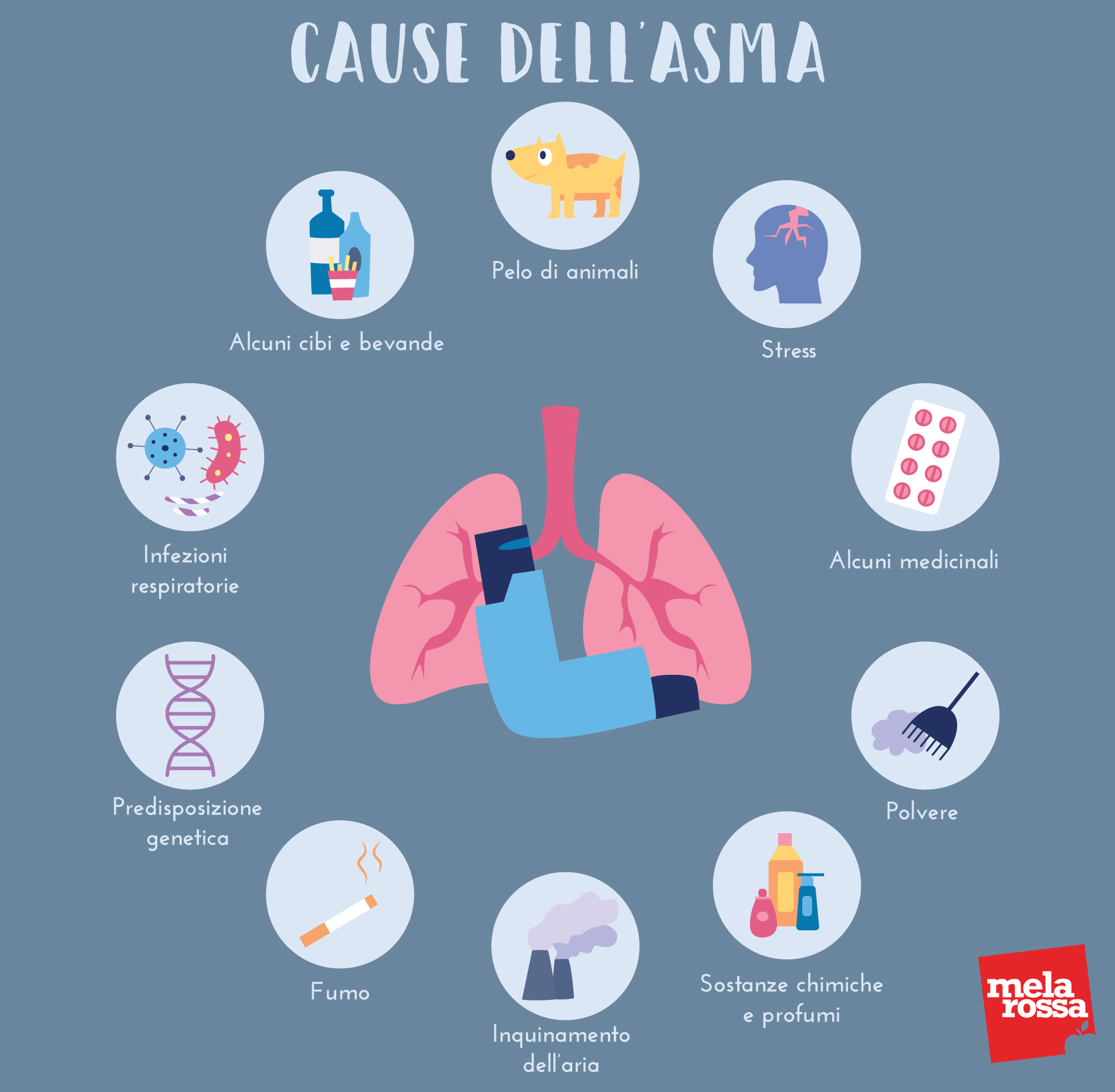 Asma: che cos'è, sintomi, cause e fattori di rischio, diagnosi, trattamenti 3 asma: cause