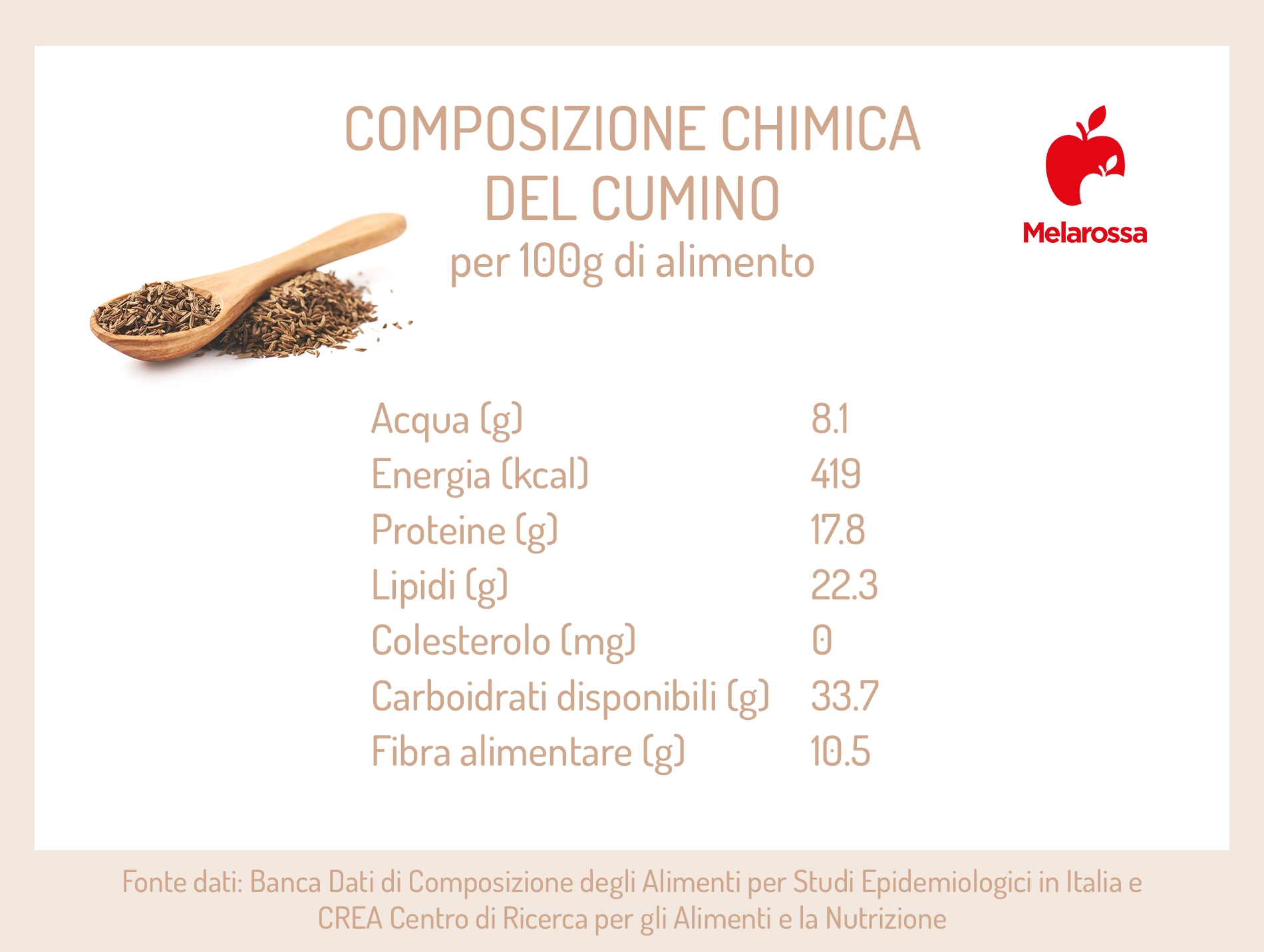 Cumino: pianta, proprietà, controindicazioni e usi in cucina 1 una grafica sui valori nutrizionali del cumino