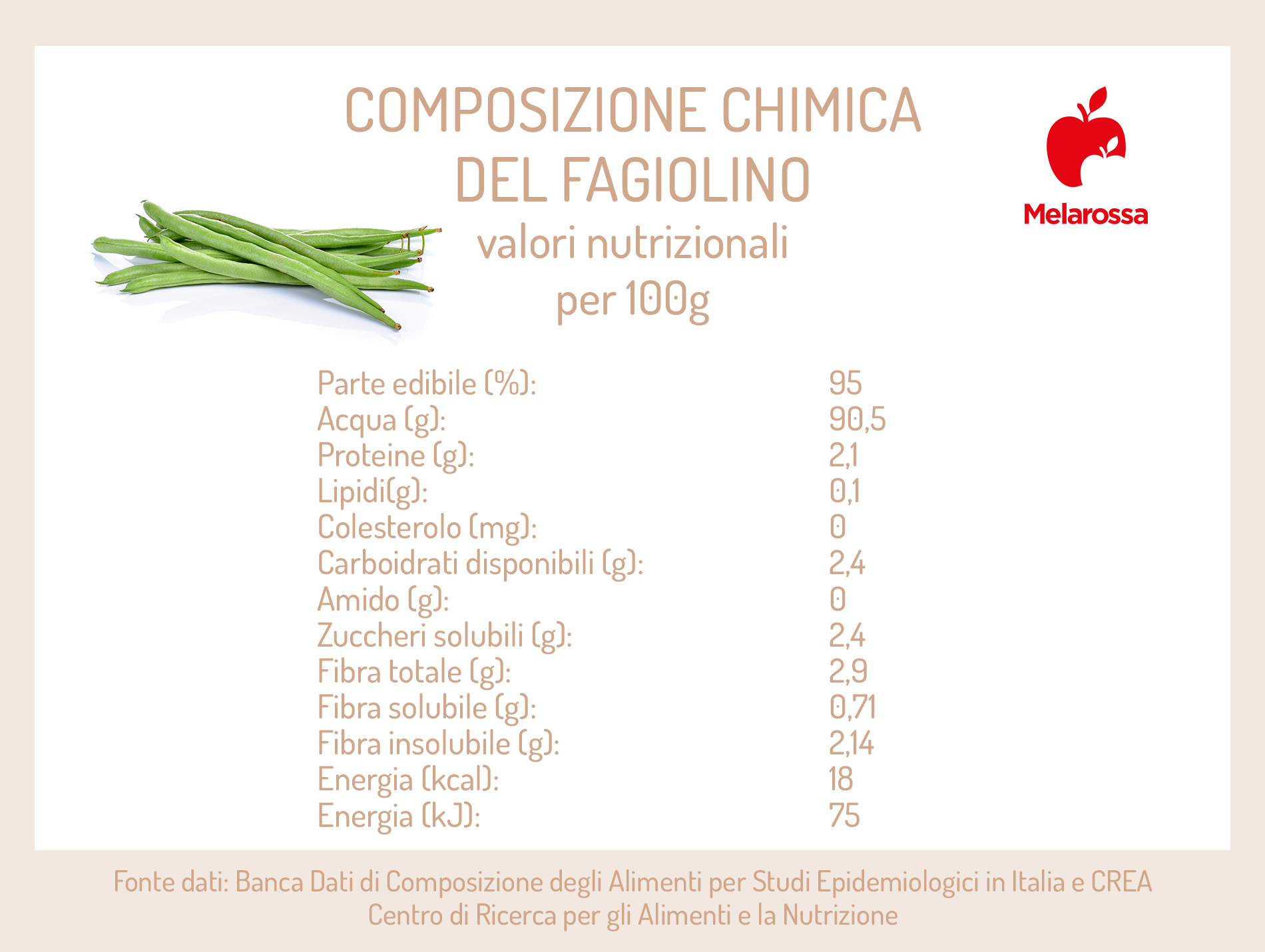 Fagiolini: proprietà, calorie e ricette gustose 2 Fagiolini: composizione chimica