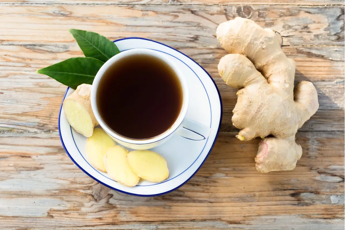 Gastroenterite: sintomi, quanto dura, come curarla e cosa mangiare 4 gastroenterite: rimedi naturali