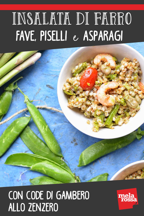 Insalata di farro, fave, piselli, asparagi e code di gambero allo zenzero 2 Insalata di farro e fave