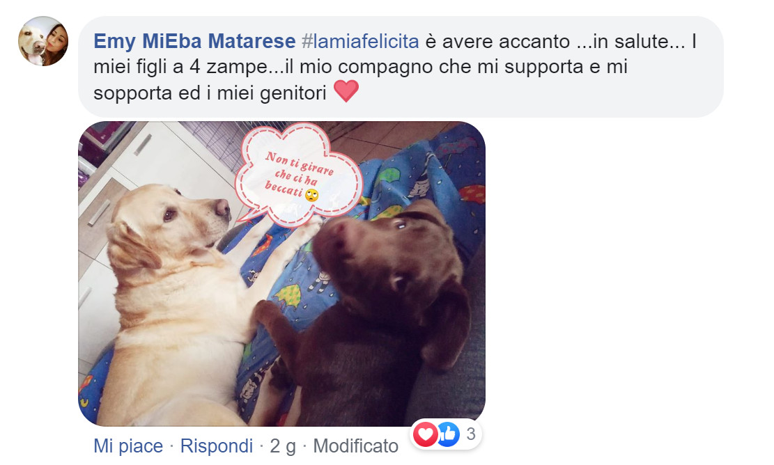 #lamiafelicità: i messaggi di speranza della community di Melarossa per combattere insieme la paura 13 #lamiafelicità emi matarese