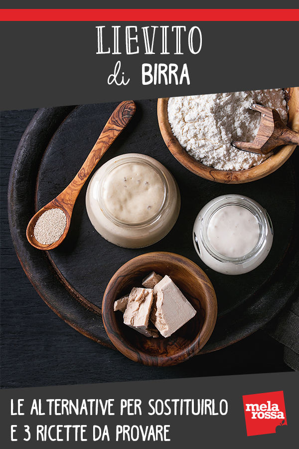 3 ricette da provare per sostituire il lievito di birra 4 lievito di birra alternative