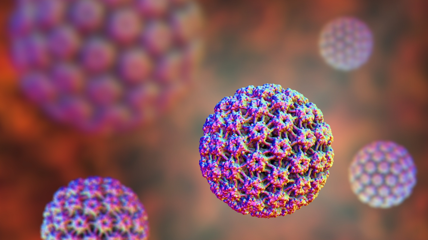 Papilloma virus umano (HPV): cos'è, infezione, contagio, sintomi, conseguenze, prevenzione con vaccino 1 papilloma virus: tipi