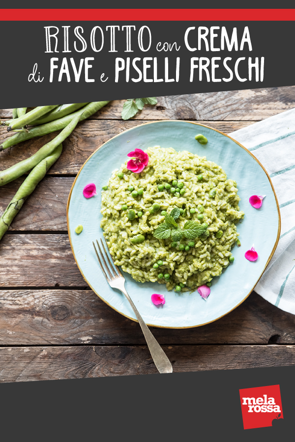 Risotto con crema di fave e piselli freschi 10 risotto con crema di fave e piselli