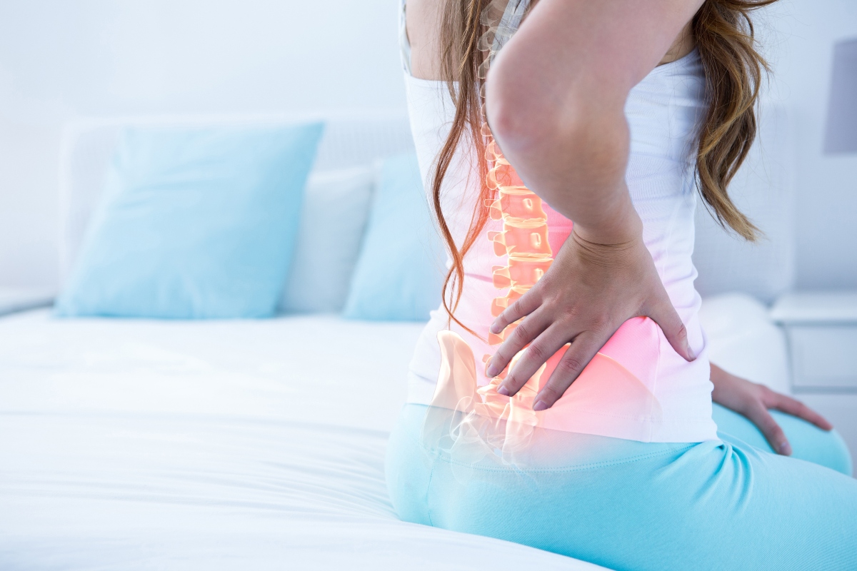 Colpo della strega: che cos'è, cause, sintomi, come gestirlo, trattamenti e esercizi per prevenirlo 1 colpo della strega: anatomia dei muscoli