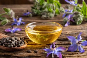 Borragine: cos&rsquo;&egrave;, propriet&agrave; e usi in cucina