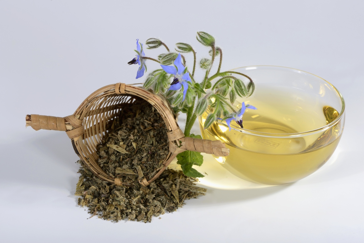 Borragine: cos'è, proprietà e usi in cucina 3 borragine tisane