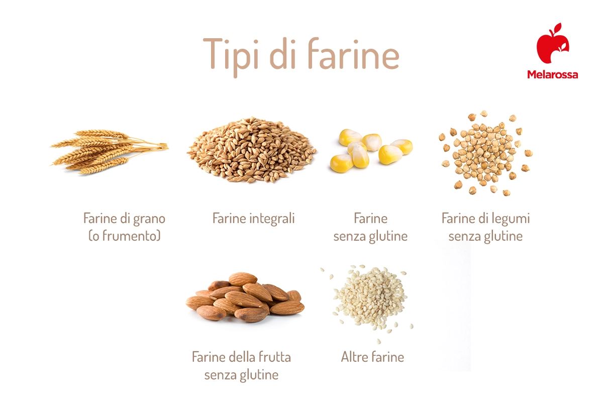 Farine: ecco quello che devi sapere 1 Tipi di farine