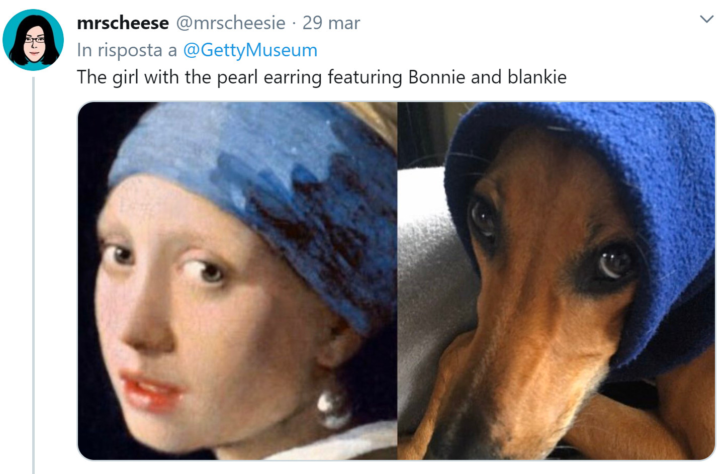 Coronavirus, il challenge del Getty Museum: ricrea la tua opera d'arte a casa. E i social si scatenano 16 museo getty challenge ragazza orecchino di perla cane