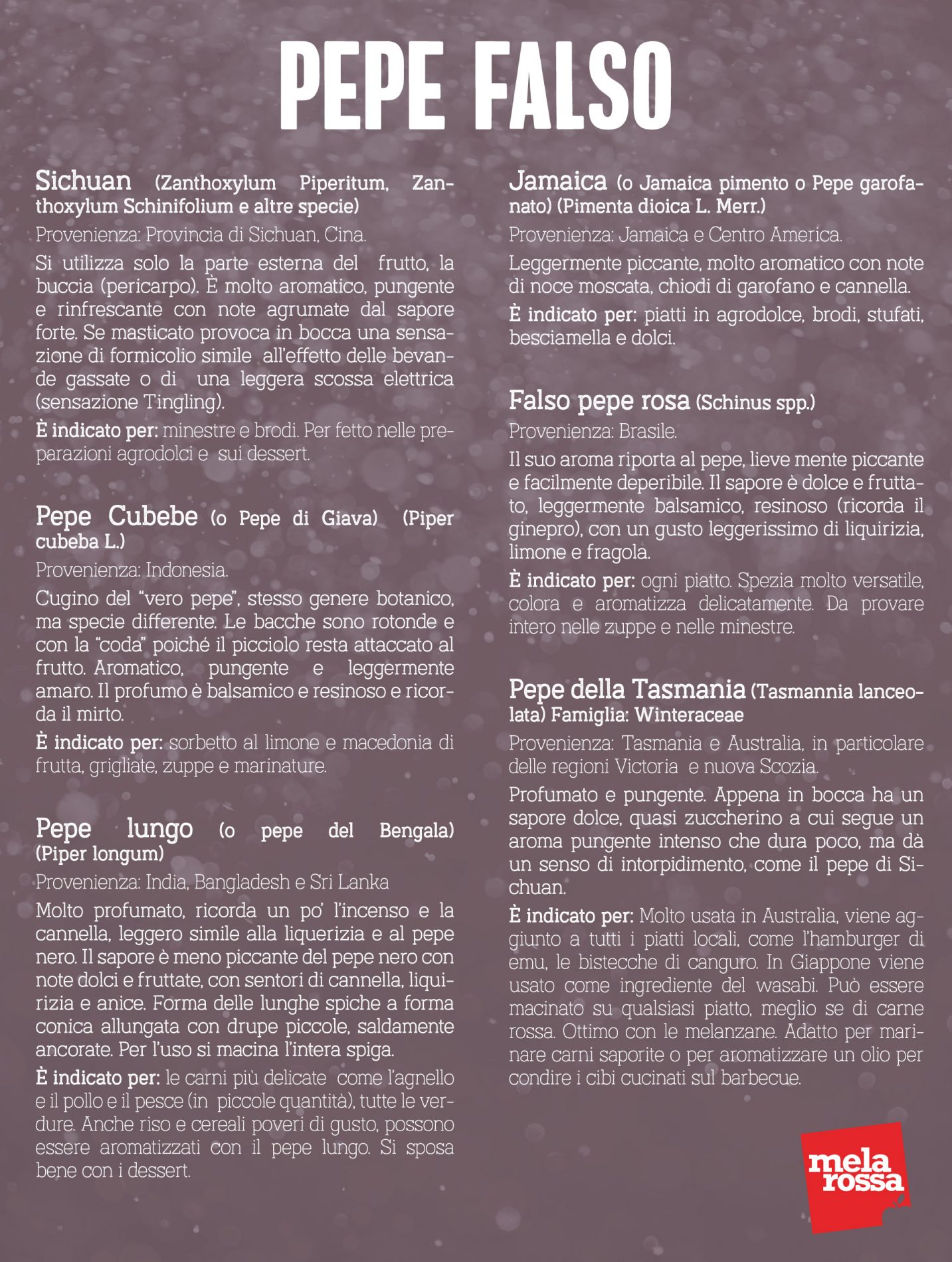 Pepe: cos'è, valori nutrizionali, benefici e usi in cucina 11 pepe falso