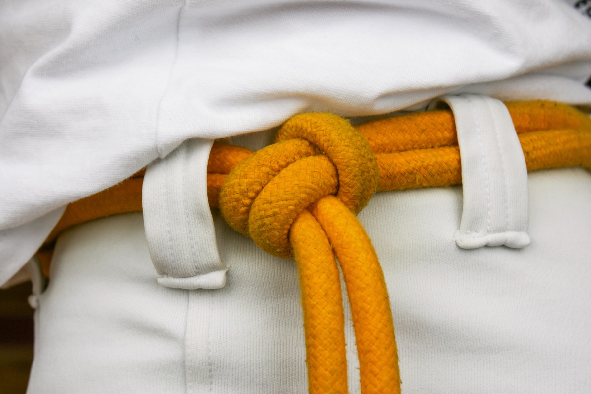 Capoeira: cos'è, storia, caratteristiche, come si svolge un combattimento, danza, musica e benefici 12 capoeira: corda