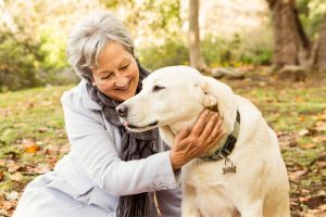 Cani migliori amici di chi soffre di diabete: fiutano l&rsquo;ipoglicemia e danno l&rsquo;allarme