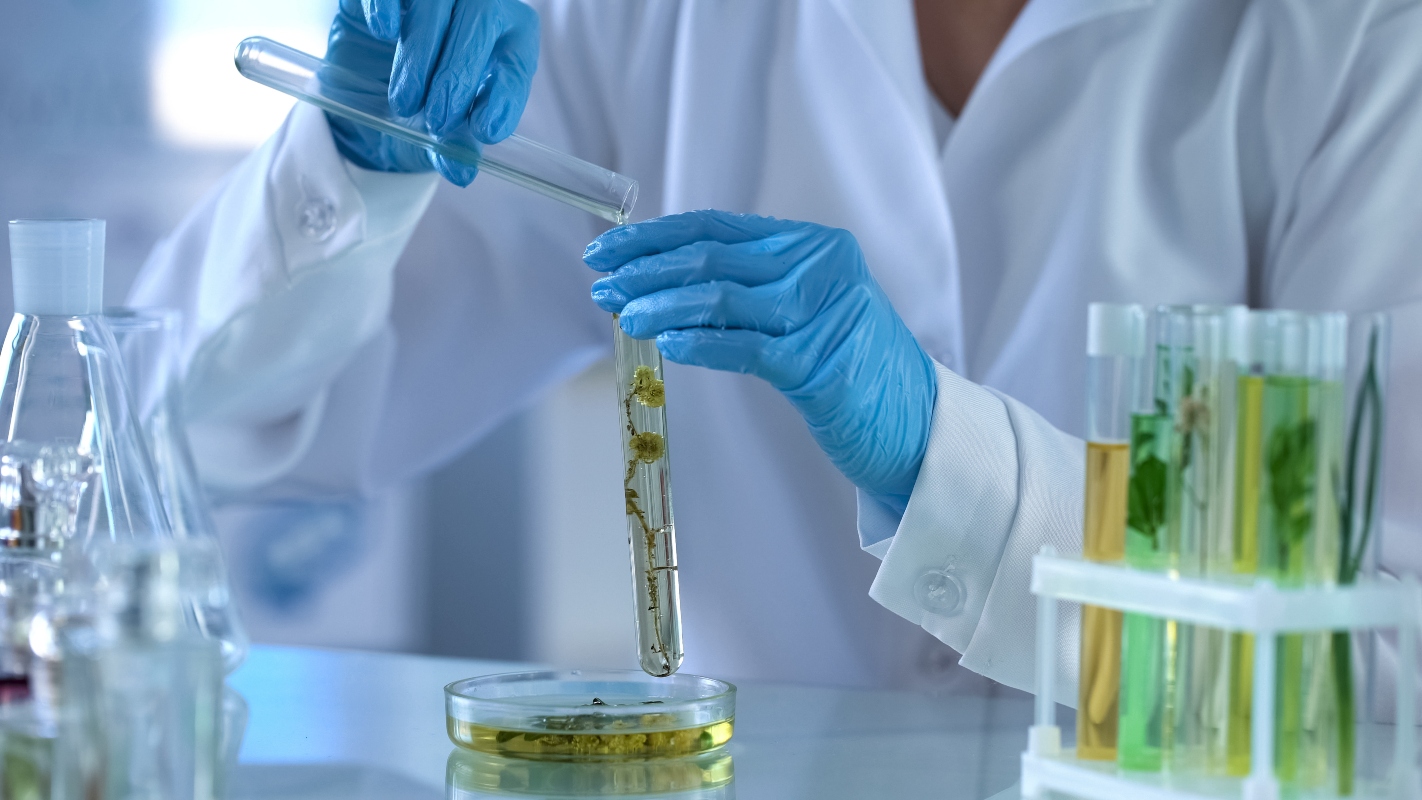 Fitoterapia: curarsi con le piante medicinali, se funziona e fitoterapici 1 Un fitoterapeuta che maneggia con i guanti una provetta per fitoterapia