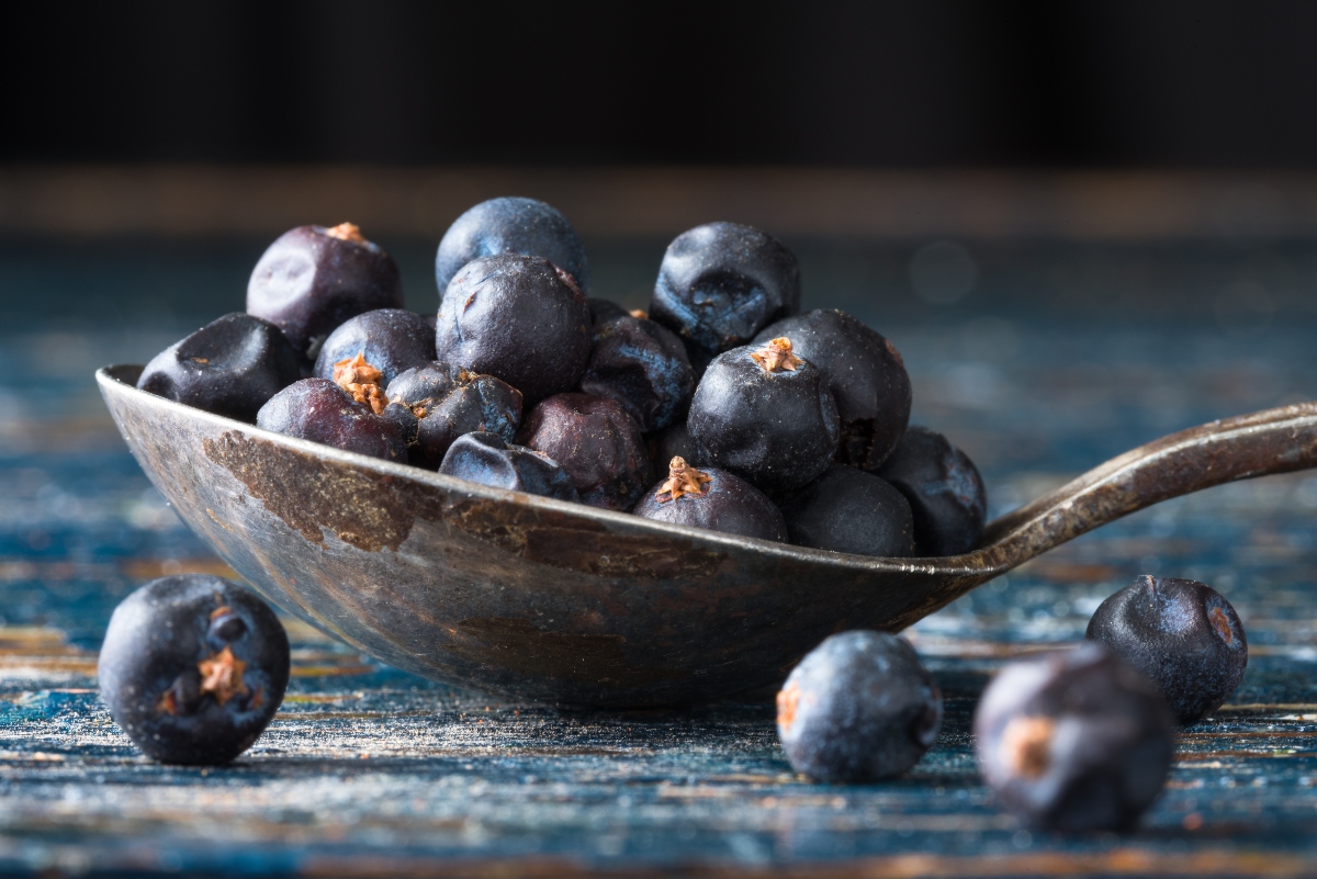 Ginepro: proprietà, benefici e usi in cucina 1 Un cucchiaio colmo di bacche di ginepro