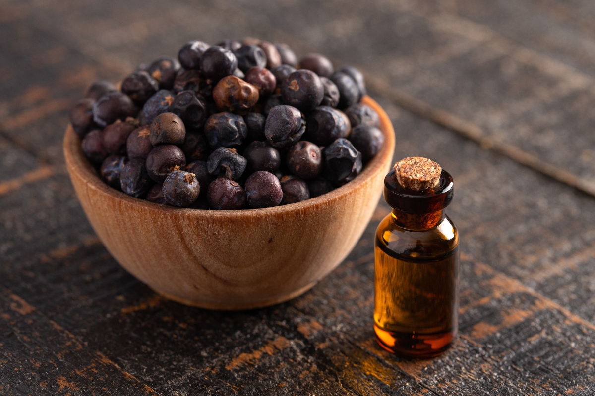 Ginepro: proprietà, benefici e usi in cucina 3 una ciotola colma di bacche di ginepro e una piccola boccetta con olio essenziale di ginepro