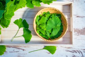 Ginkgo biloba: che cos&rsquo;&egrave;, benefici, valori nutrizionali e usi in cucina