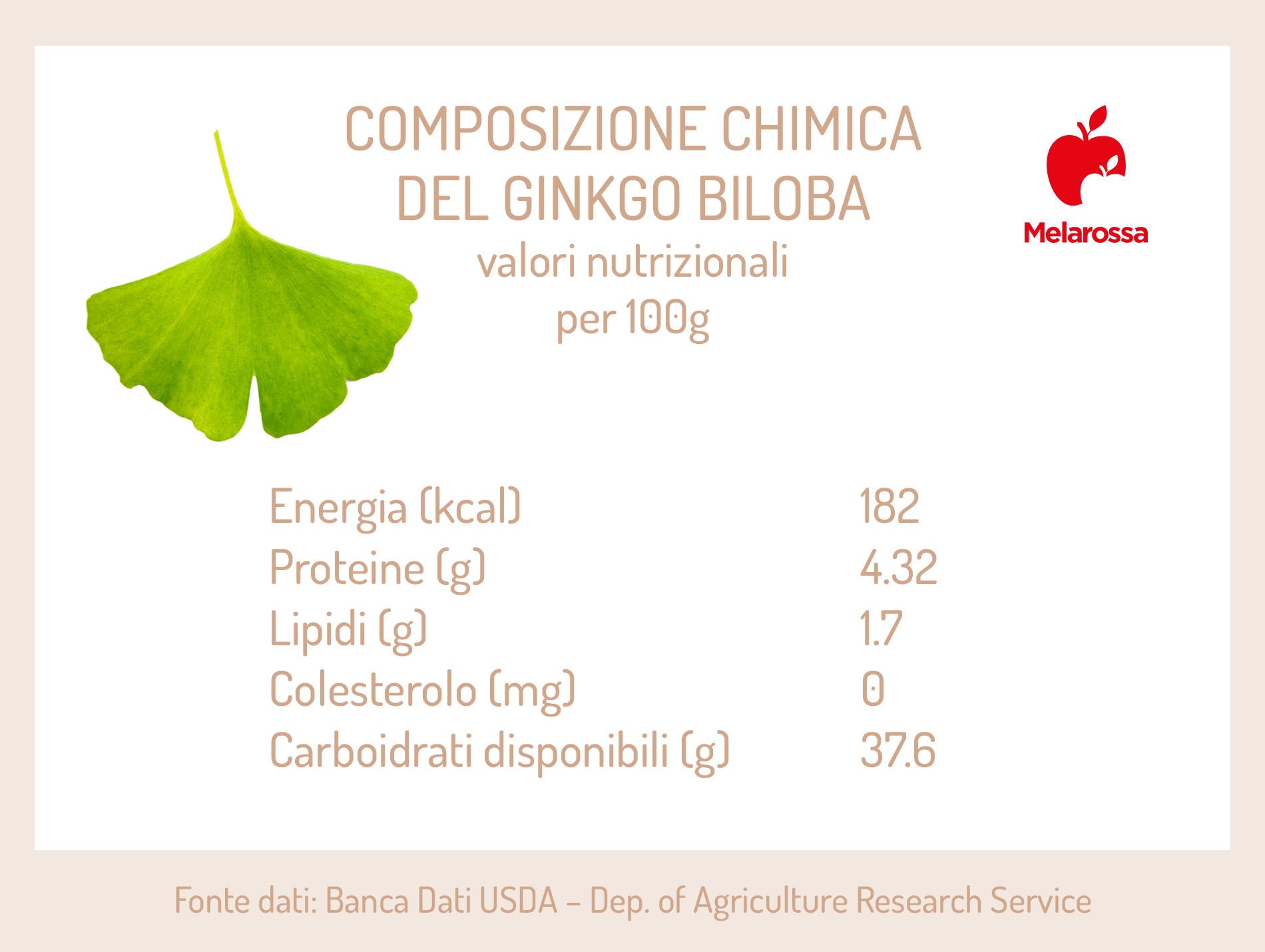 Ginkgo biloba: che cos'è, benefici, valori nutrizionali e usi in cucina 3 ginkgo biloba: composizione chimica