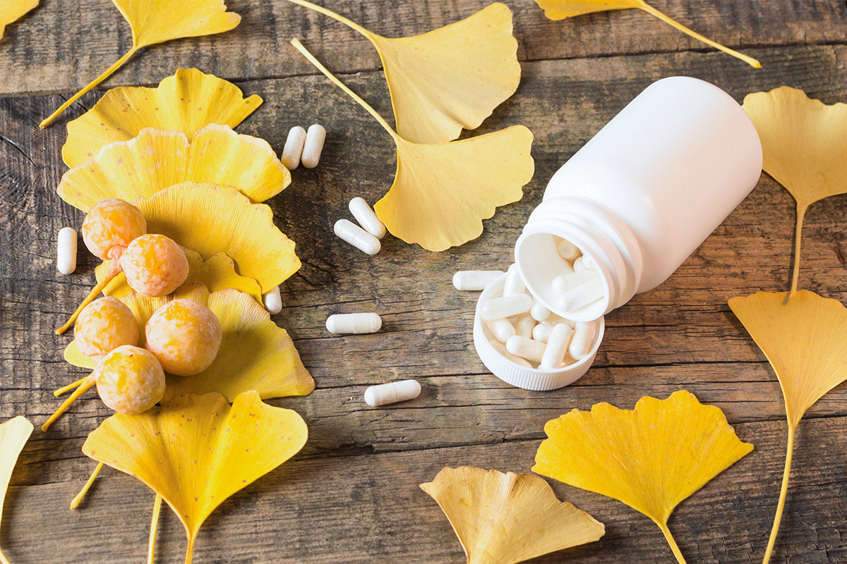 Ginkgo biloba: che cos'è, benefici, valori nutrizionali e usi in cucina 11 Ginkgo biloba: dove si trova