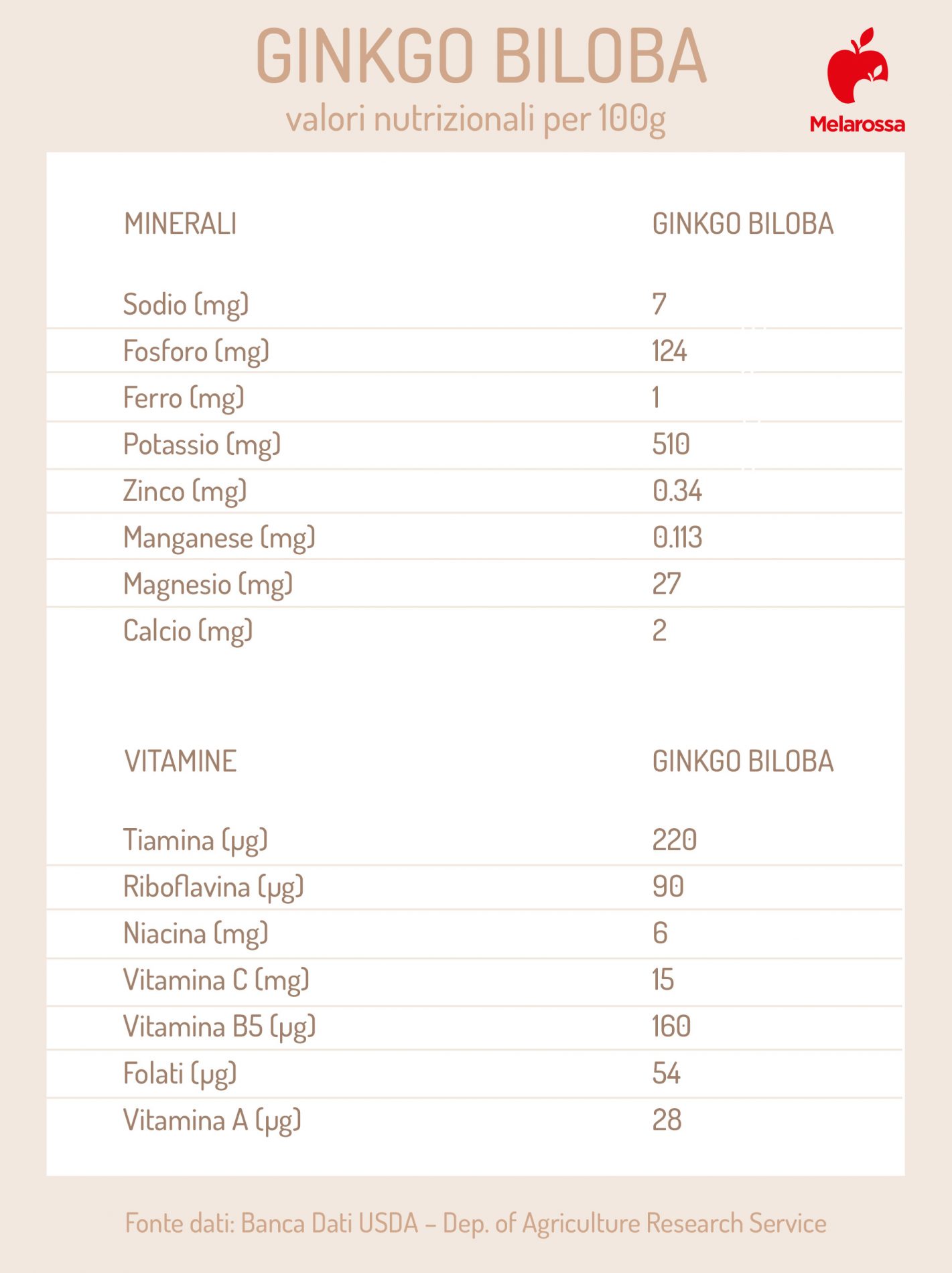 Ginkgo biloba: che cos'è, benefici, valori nutrizionali e usi in cucina 2 Gingko biloba: valori nutrizionali