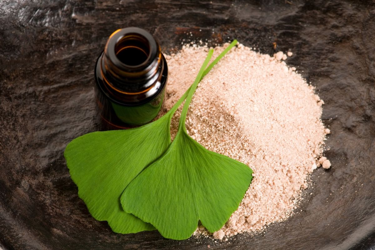 Ginkgo biloba: che cos'è, benefici, valori nutrizionali e usi in cucina 5 gingko biloba: integratori e benefici
