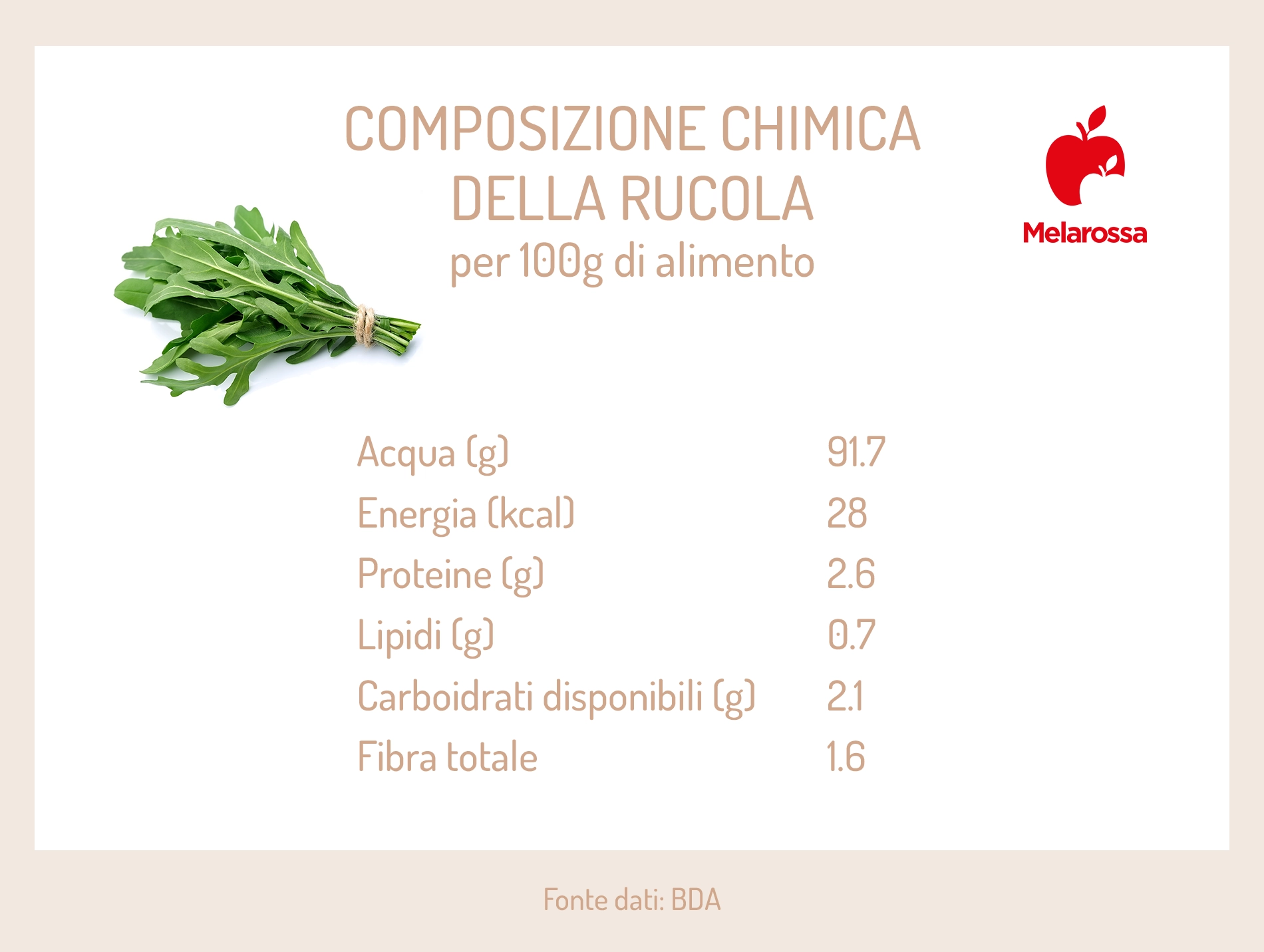 Rucola: caratteristiche, proprietà nutrizionali e benefici 1 Grafia sulla composizione chimica della rucola