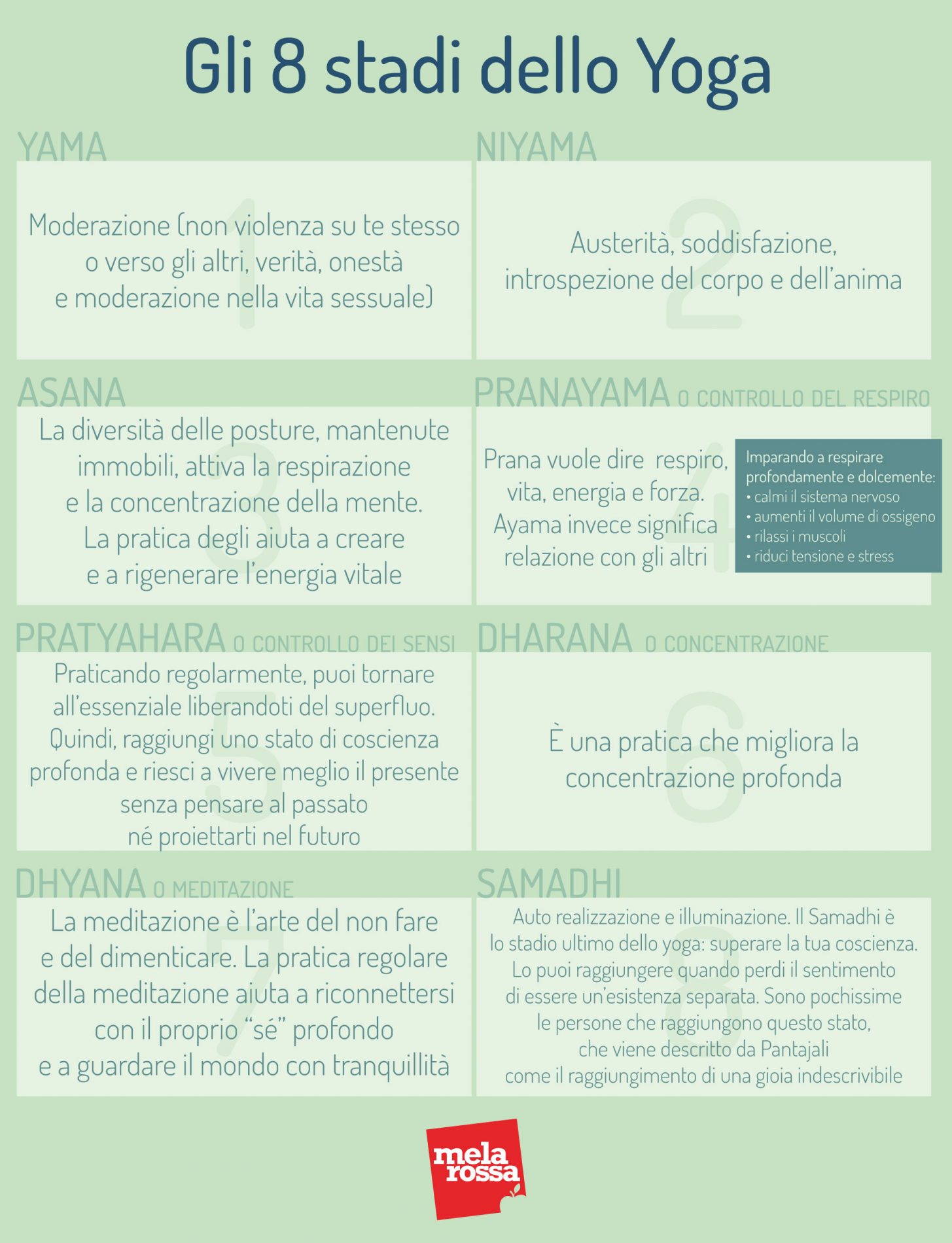 Yoga: cos’è, filosofia, benefici, posizioni, allenamento yoga e tipi di yoga 2 Yoga: 8 stadi