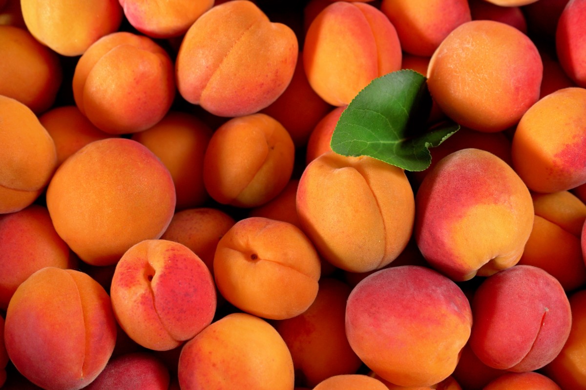 I cibi con meno di 50 calorie, perfetti per la dieta 3 albicocche