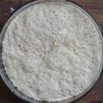 Base per la pizza integrale 1 base per pizza integrale