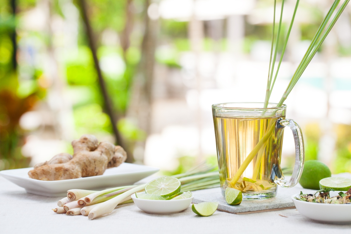 Citronella: cos'è, proprietà terapeutiche, coltivazione della pianta anti zanzare e ricette 8 citronella: modalità d'uso