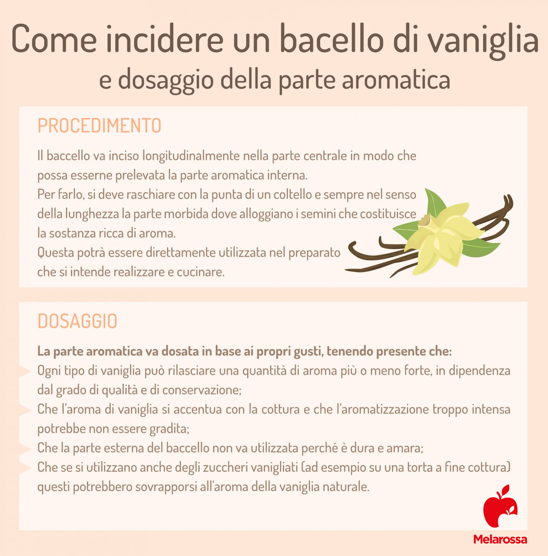 Vaniglia: cos'è, benefici, usi e ricette 1 grafica su come incidere un baccello di vaniglia
