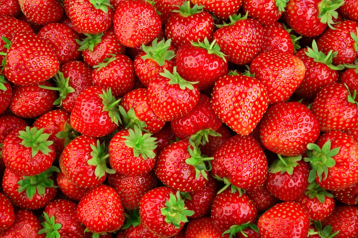 I cibi con meno di 50 calorie, perfetti per la dieta 12 fragole