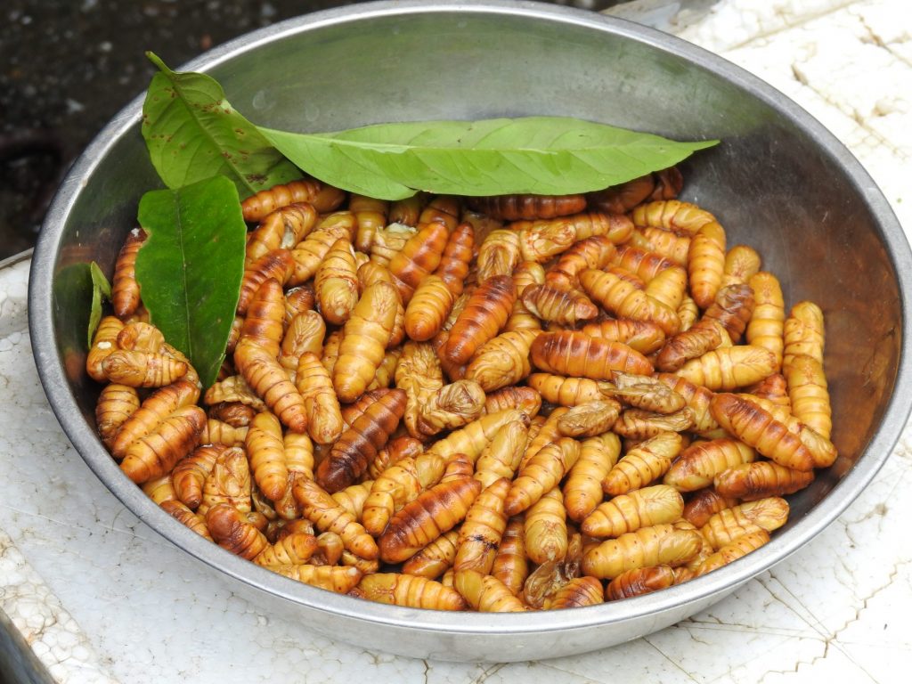 Viaggio in Vietnam: la capitale Hanoi al nord dell'isola 15 hanoi street food bachi da seta