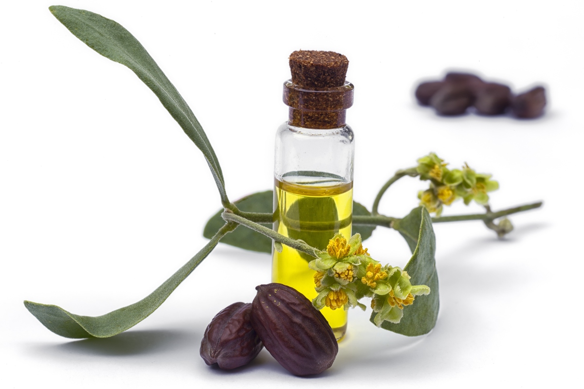 Oli vegetali: benefici, quali usare e come scegliere quelli più adatti alla tua pelle 17 oli vegetali: olio di jojoba