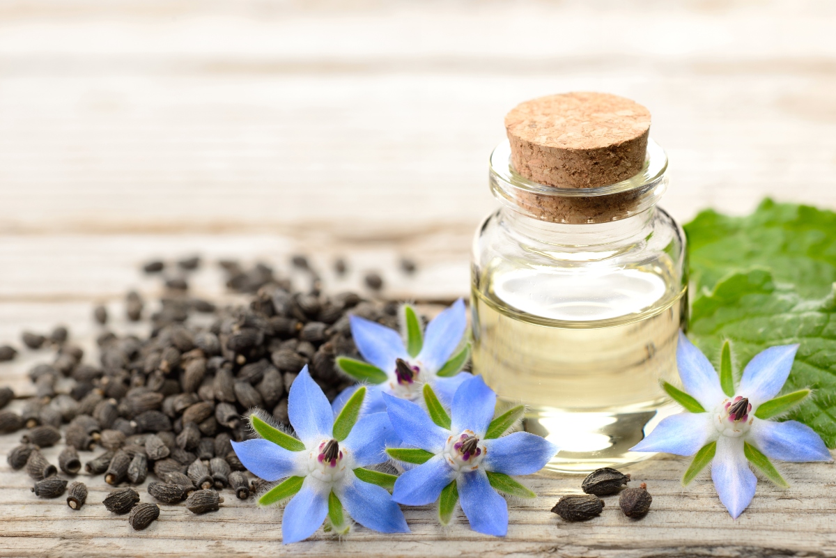Oli vegetali: benefici, quali usare e come scegliere quelli più adatti alla tua pelle 23 Olio di borragine